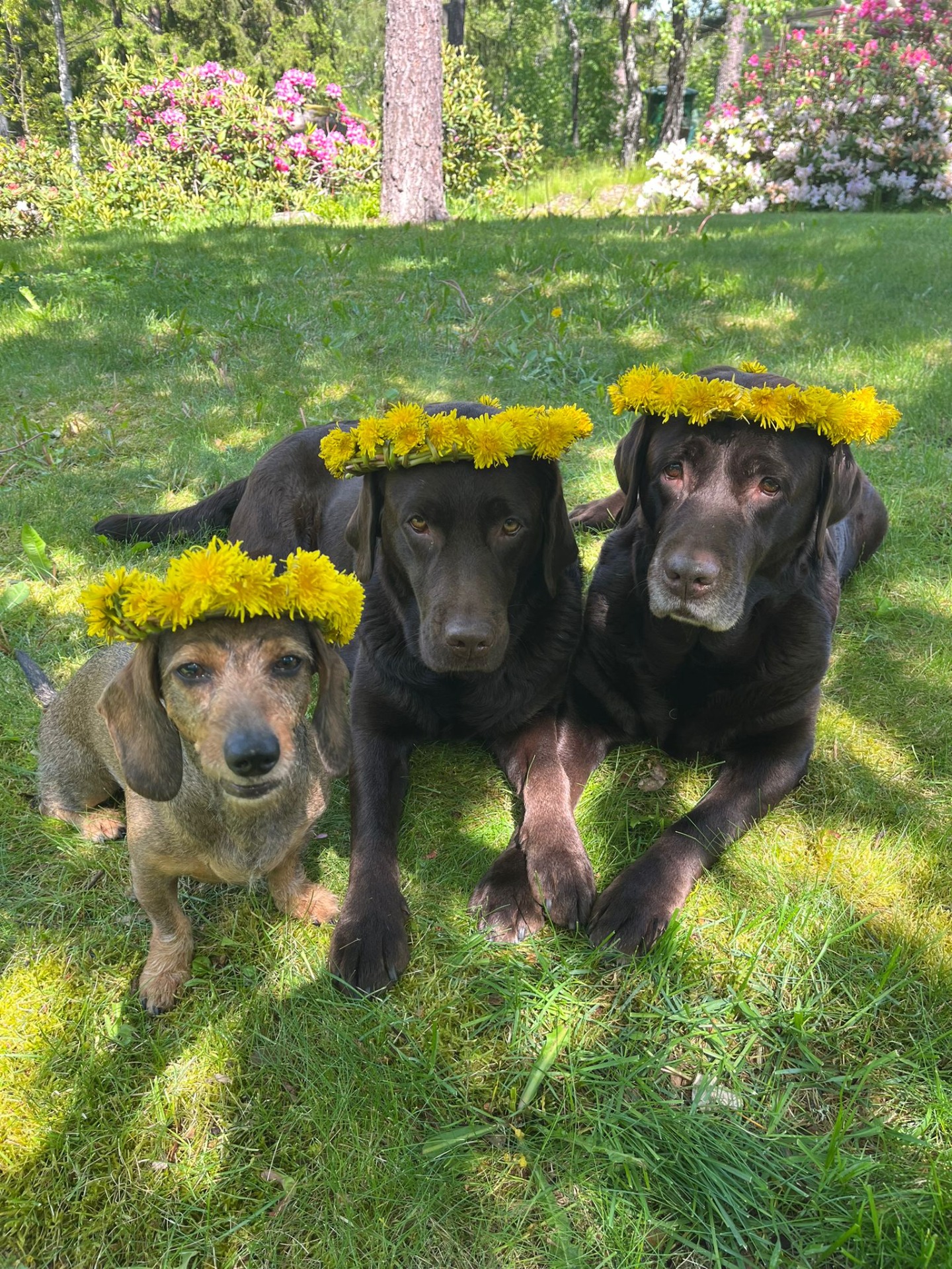 My, Freja & Nana